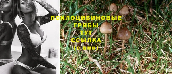 бошки Балахна
